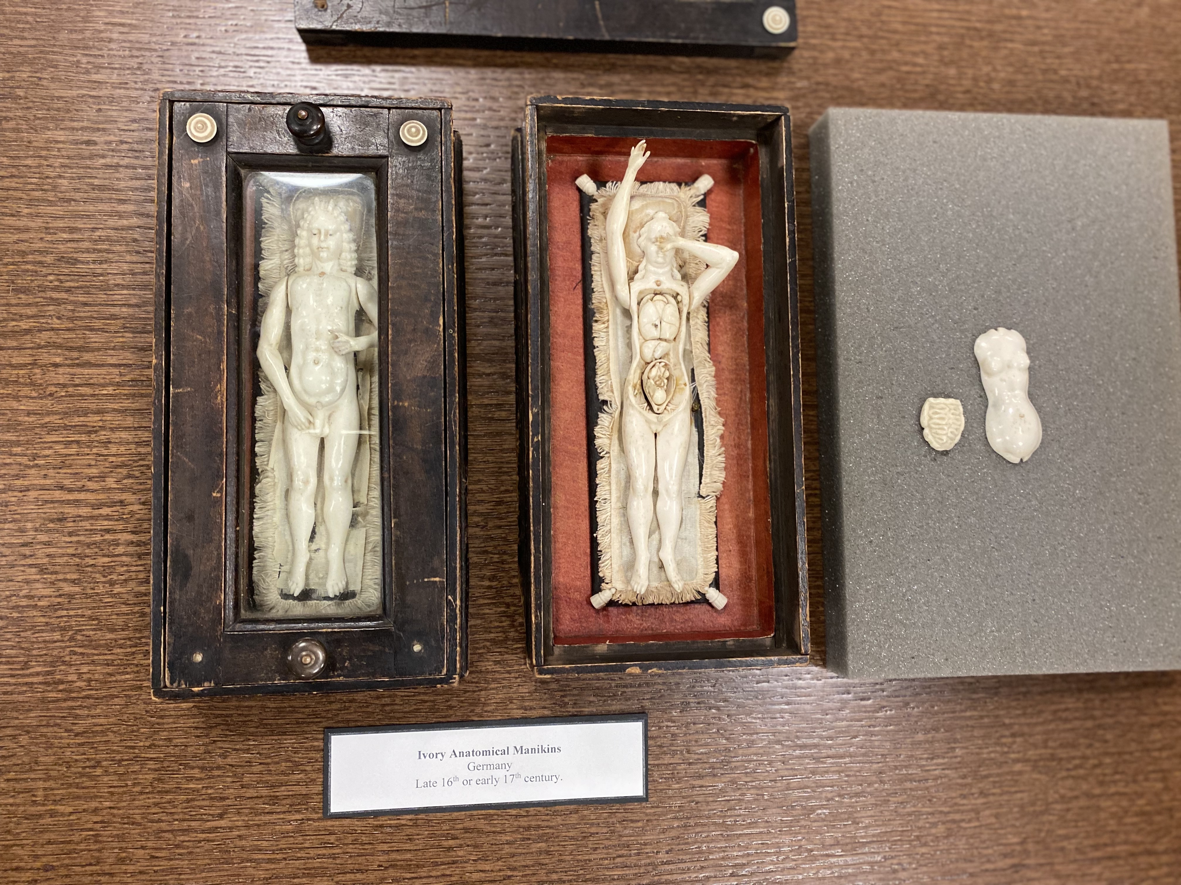 Dr. Butler visits the UTMB Department of Surgery