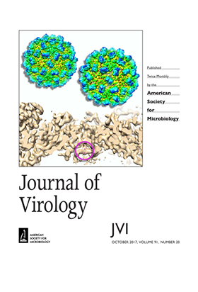 adj_CNV_2017_cover_crop